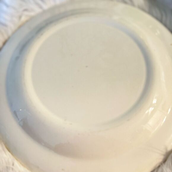 Vintage Blue and White Transferware Plate by Willow Ware Royal China 10.25 inche - Picture 3 of 4